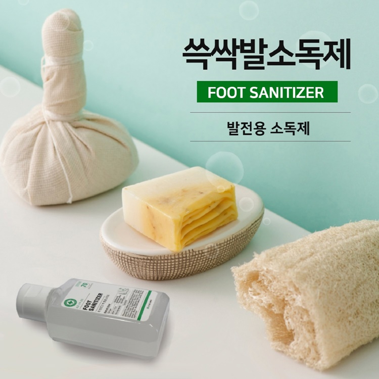 세종 디앤티