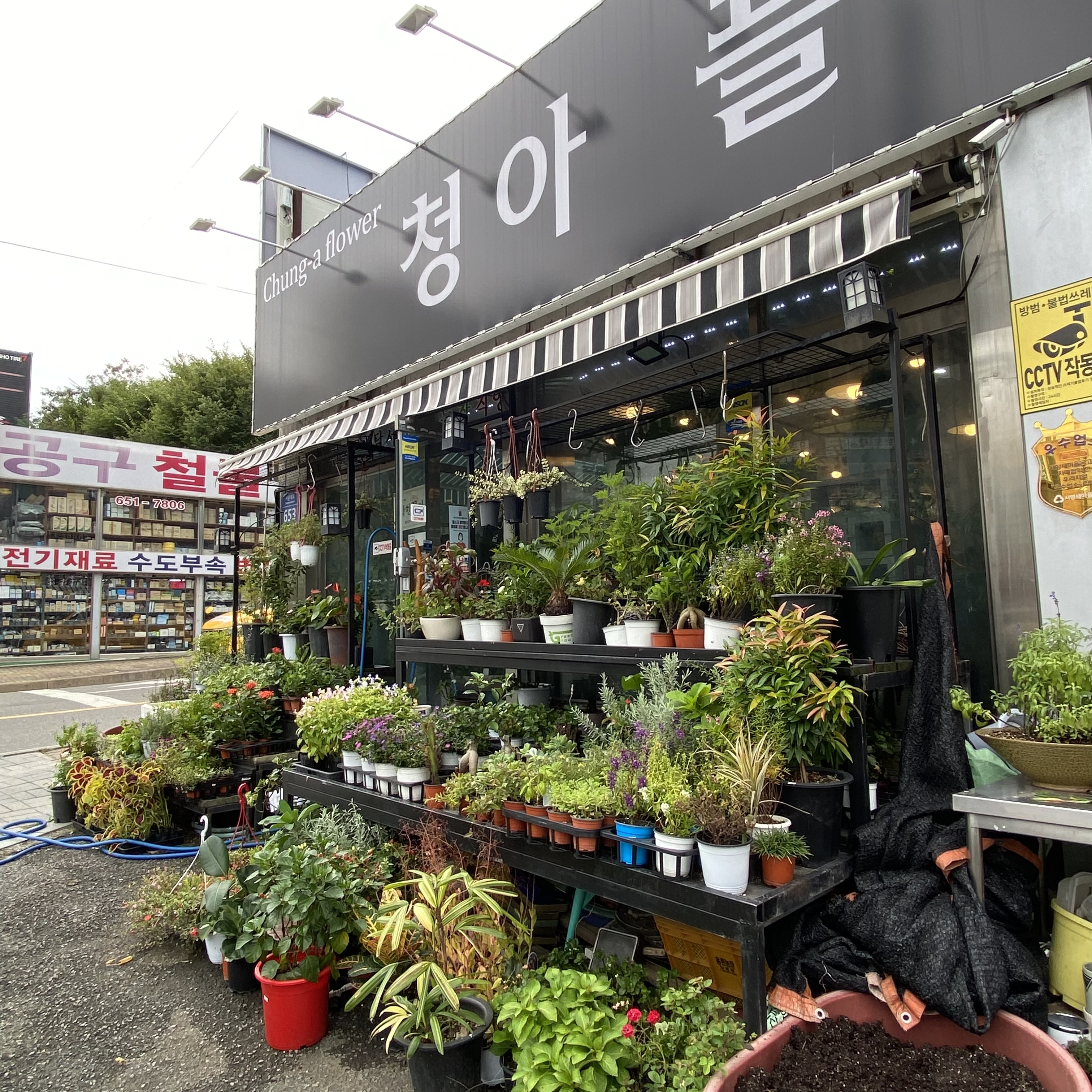 청아플라워