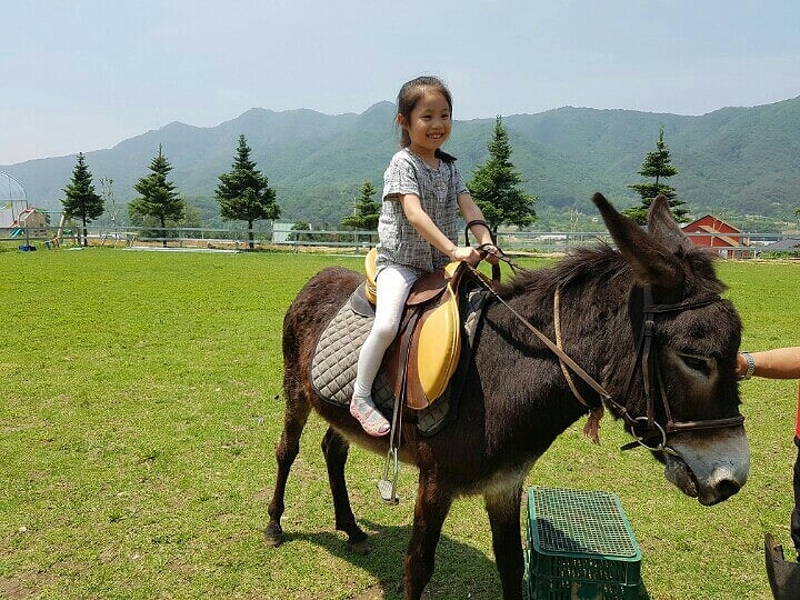 늘푸른체험농원