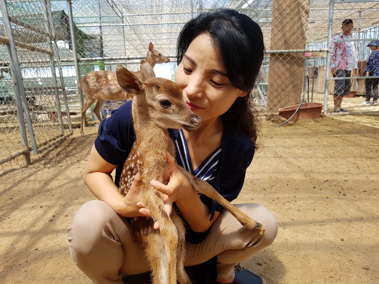 늘푸른체험농원