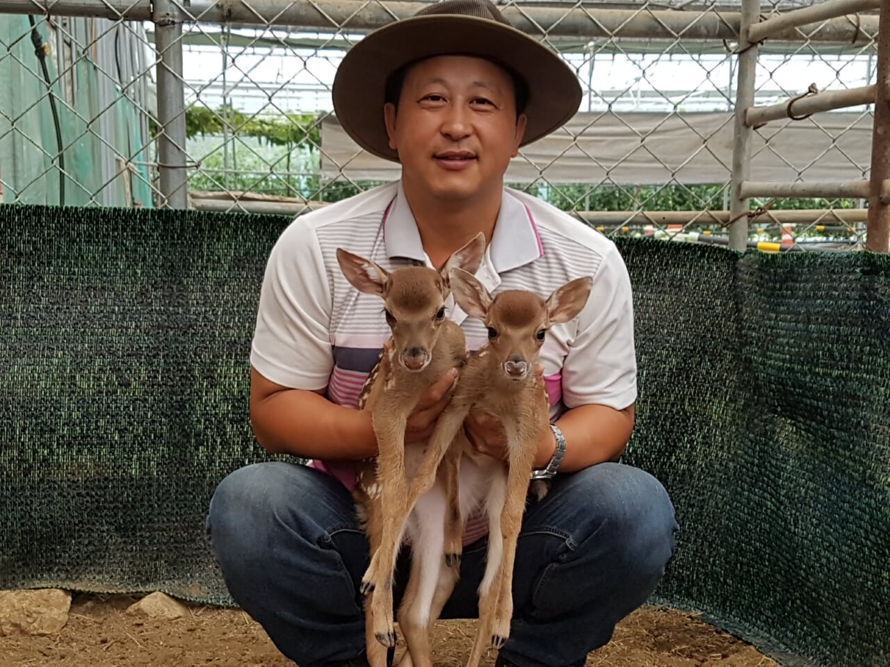 늘푸른체험농원