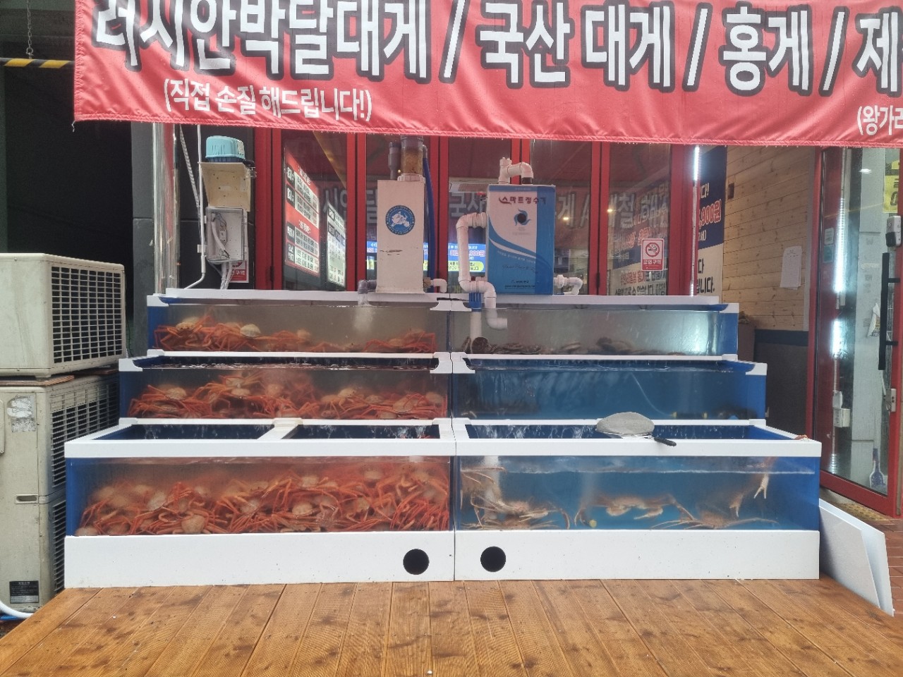 홍게랑대게랑 송송수산