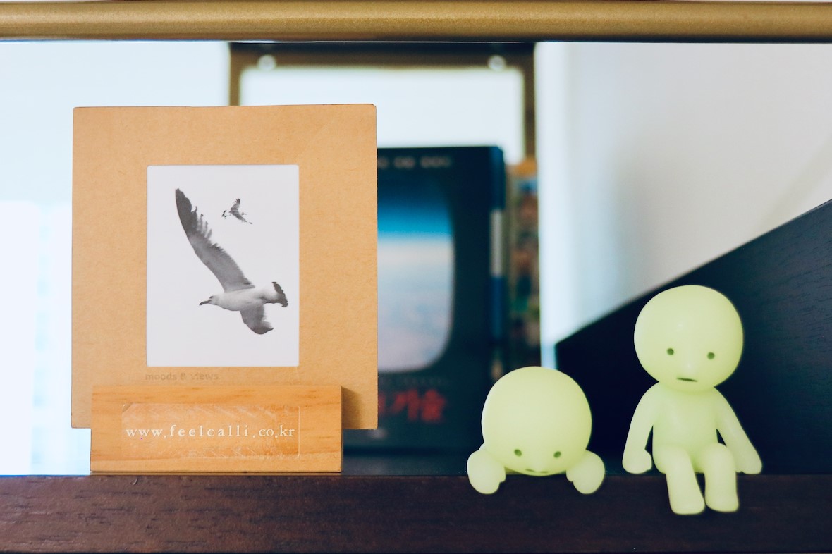 이담심리상담센터 대표 이미지