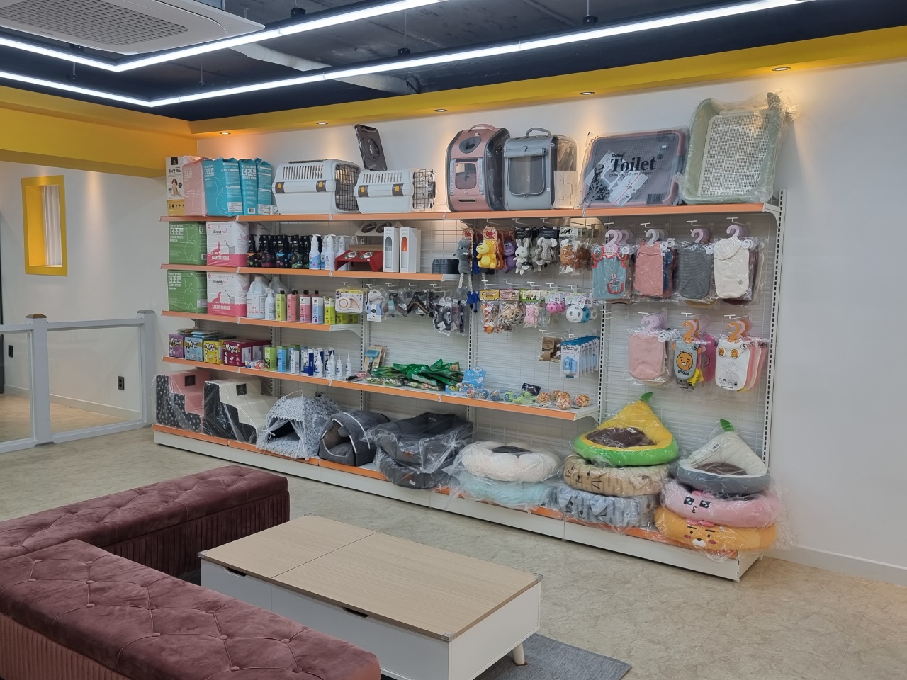 클래시독스 대표 이미지