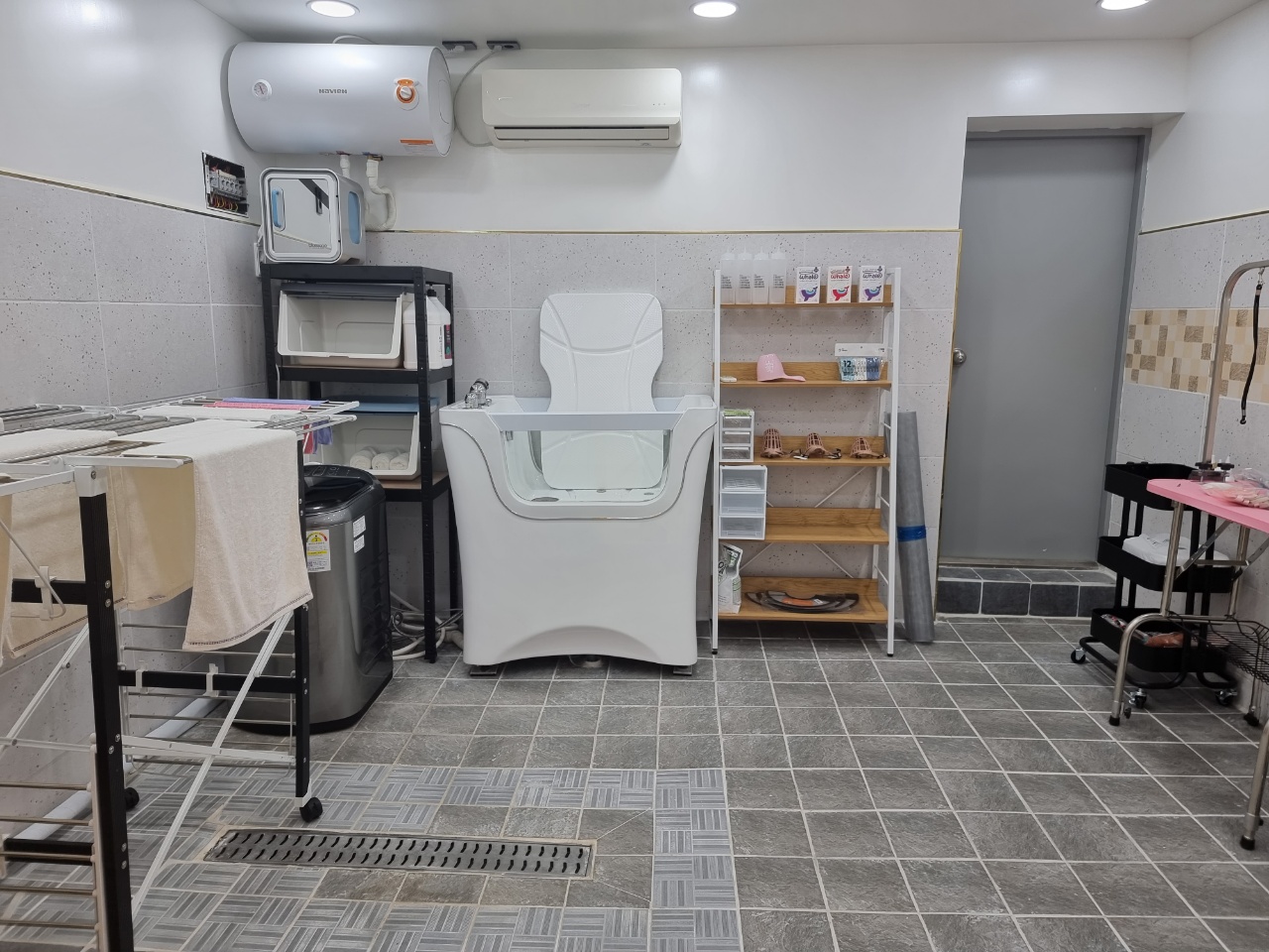 클래시독스 대표 이미지