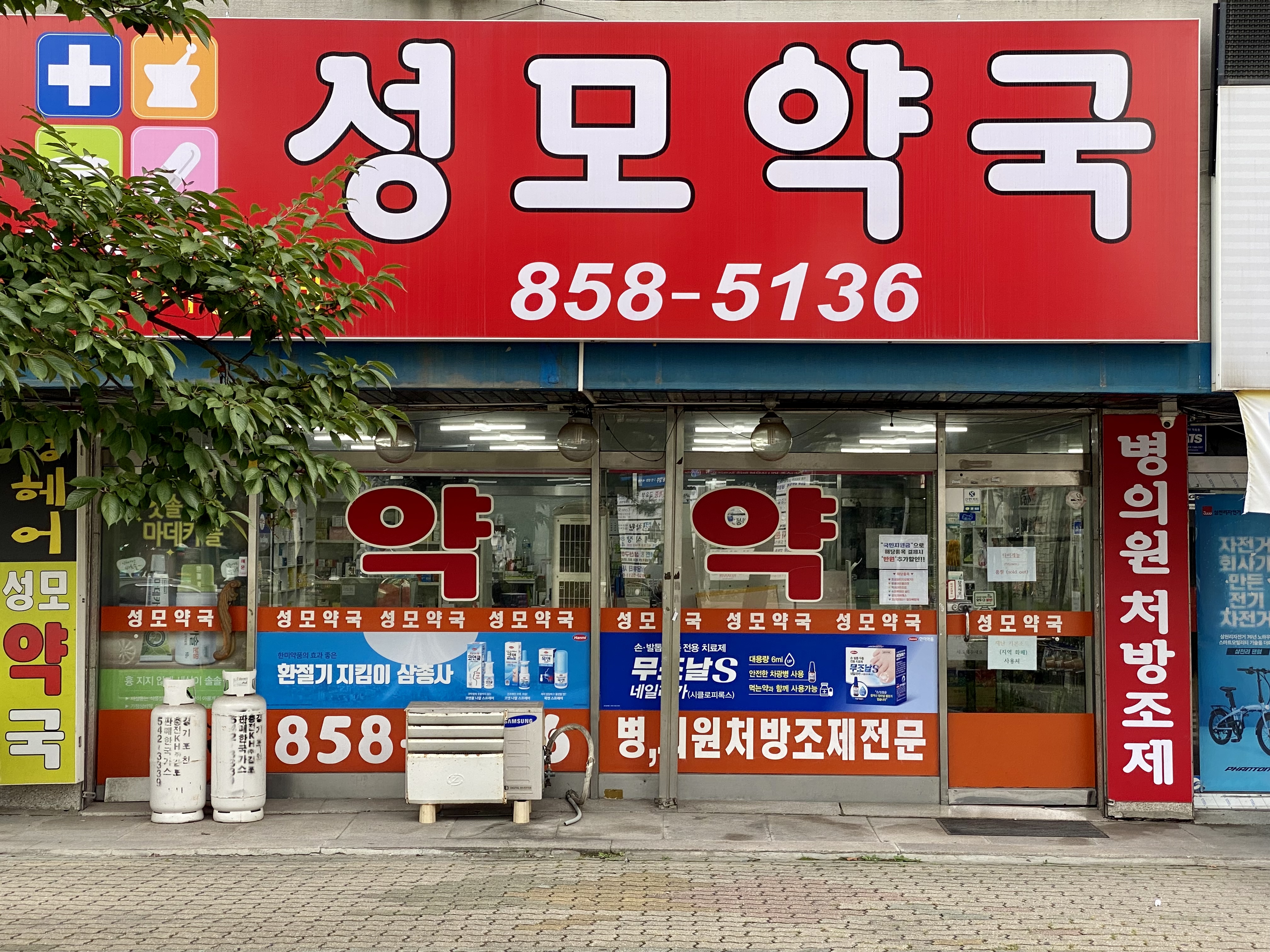 성모약국