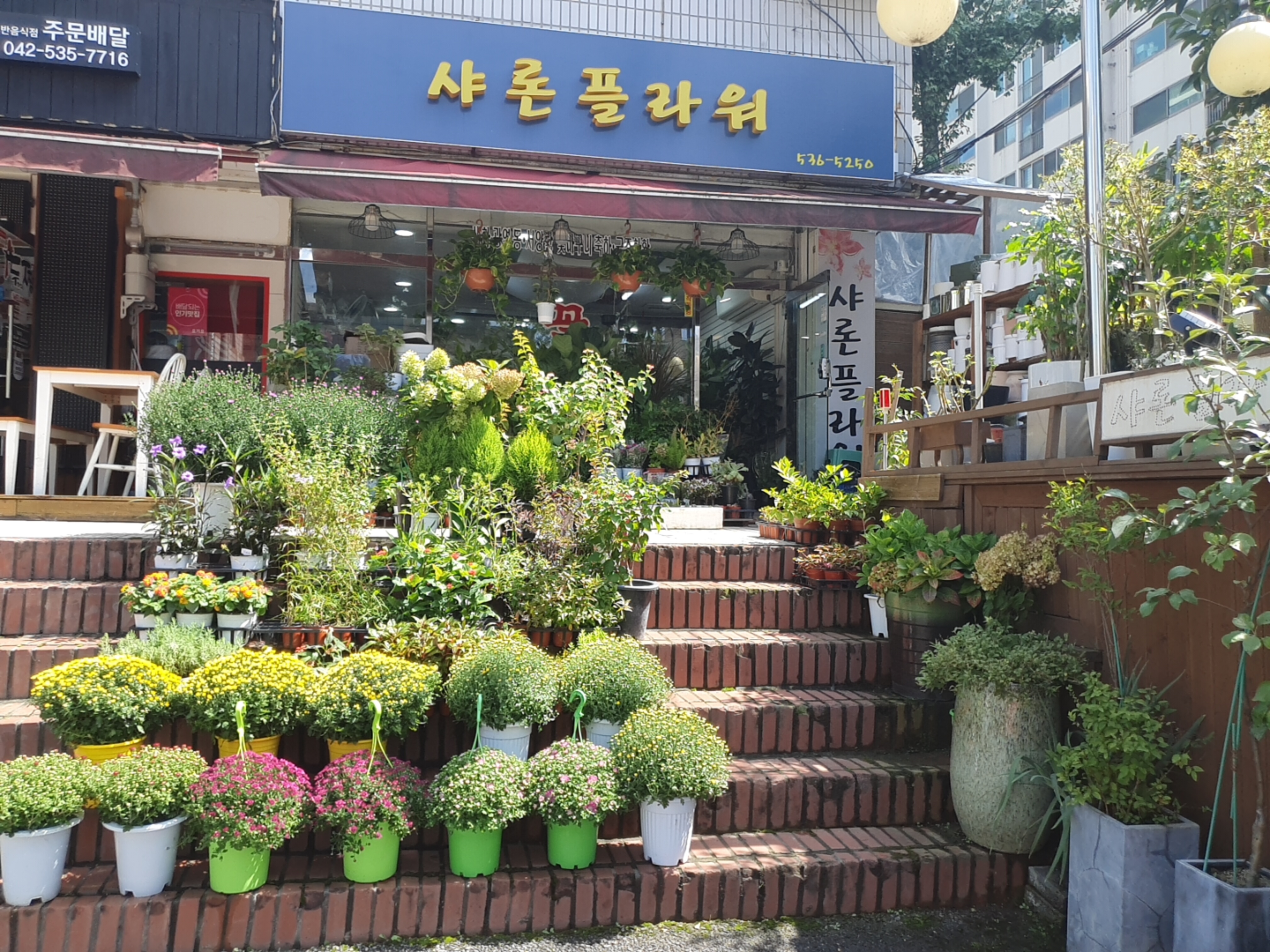 샤론플라워