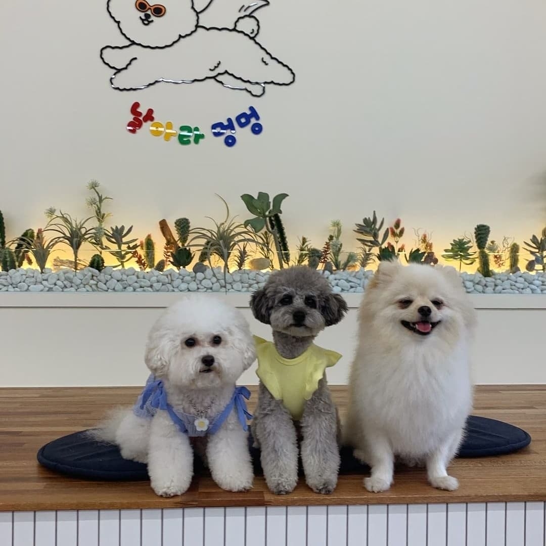 읍천리382 산본점 4