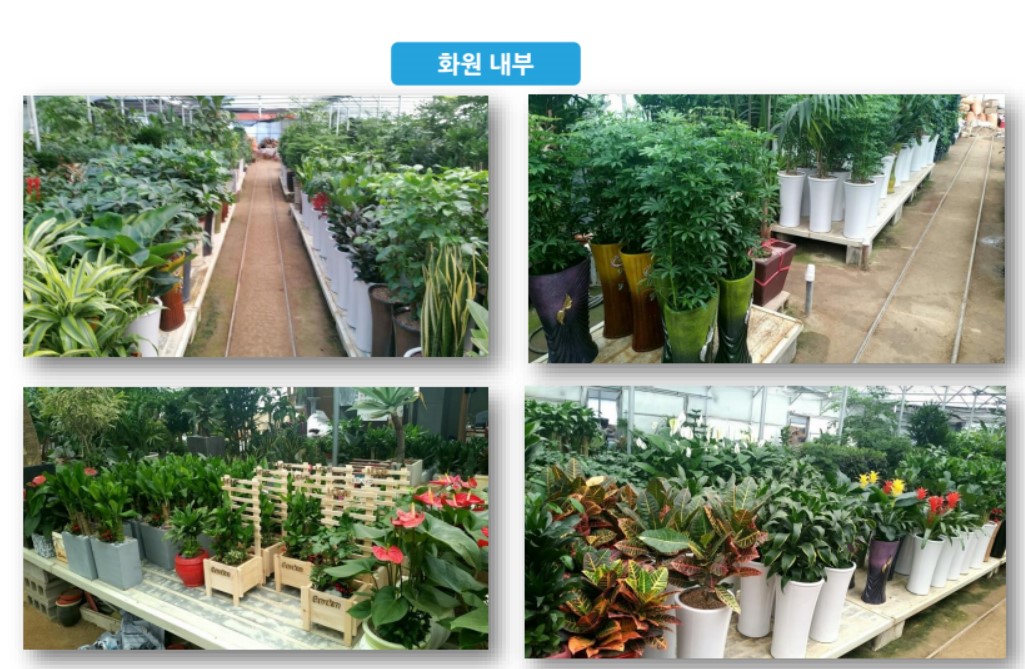 달구벌꽃집