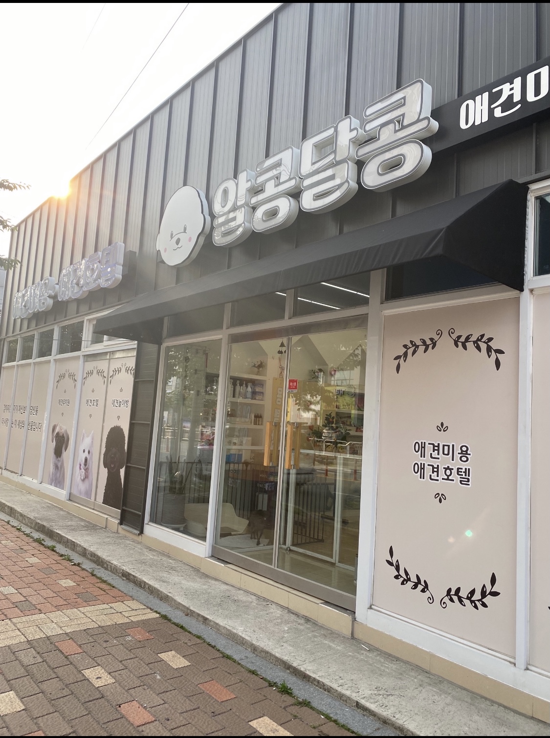 알콩달콩애견미용실