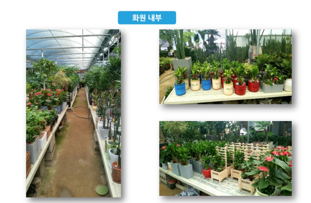 달구벌꽃집