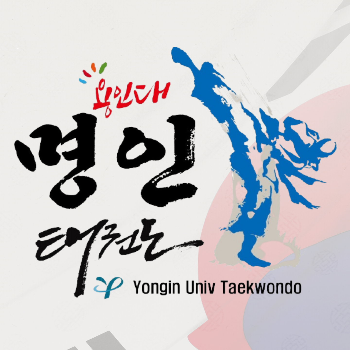 용인대명인태권도