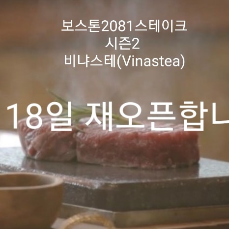 비냐스테