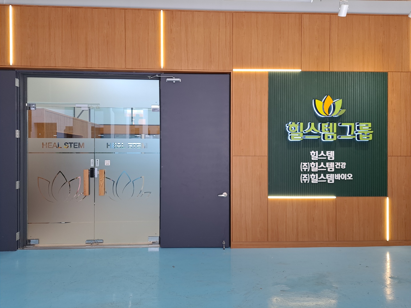 힐스템건강