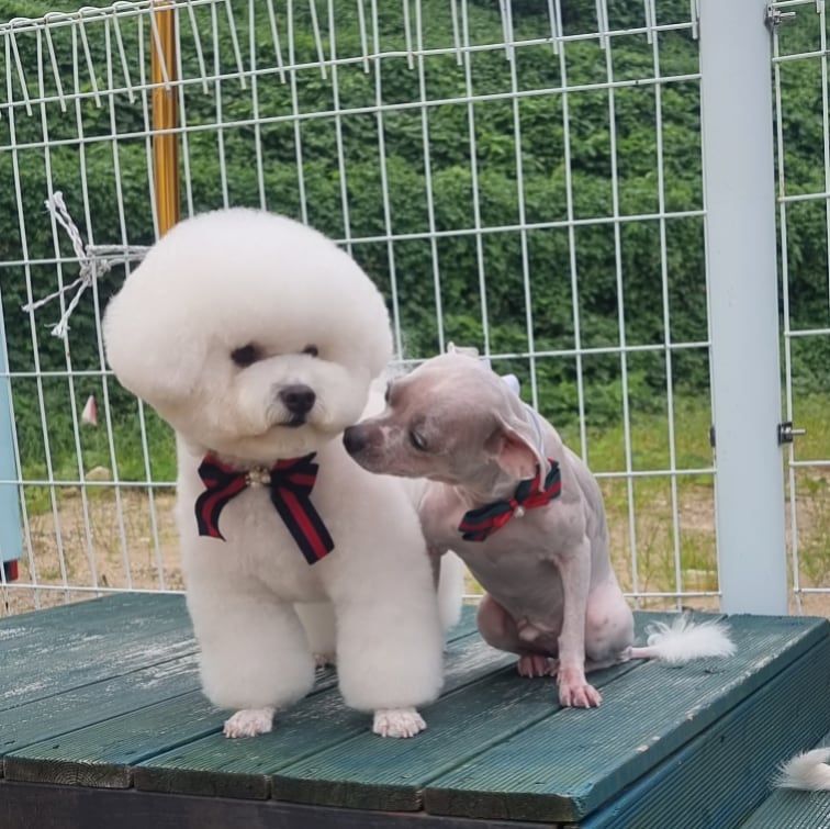 카페문나잇 5