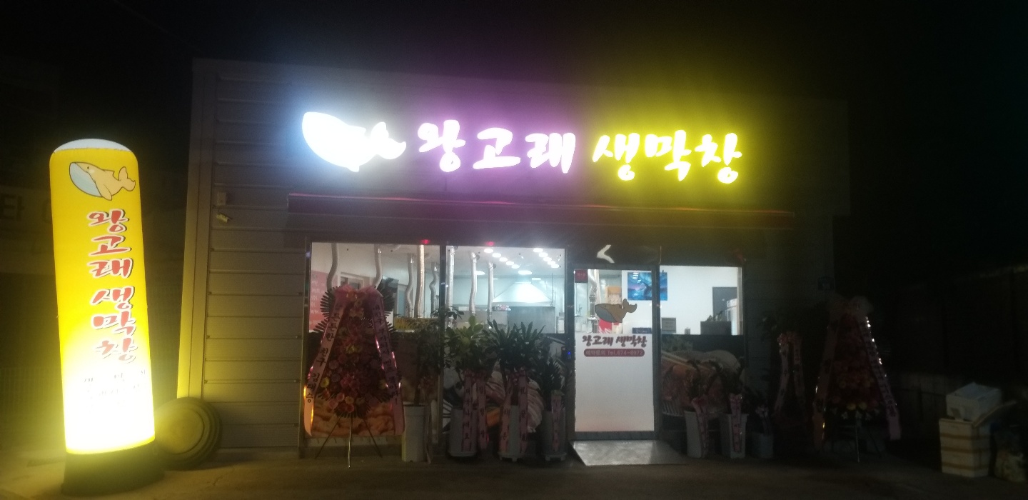 왕고래생막창