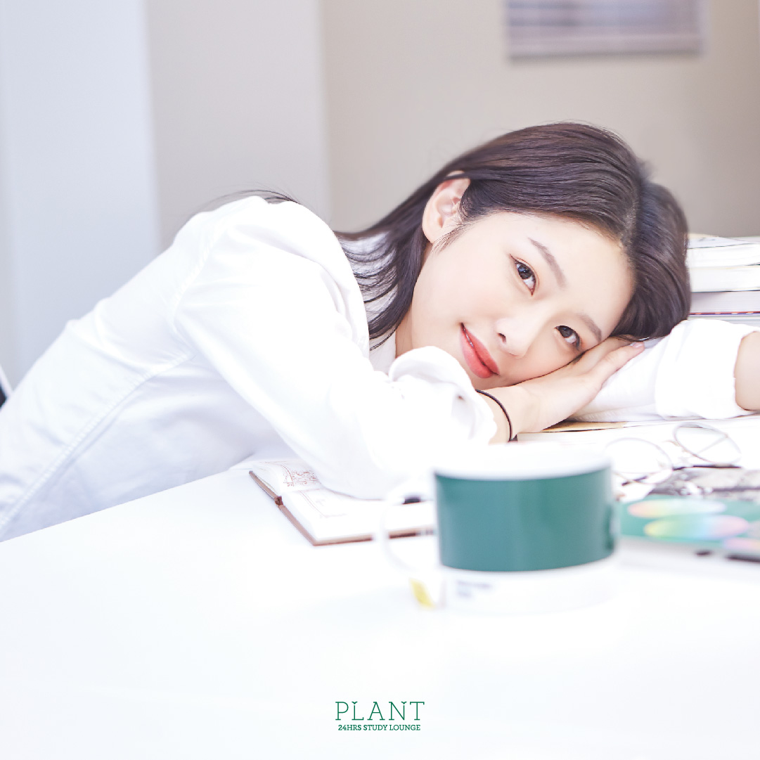업체사진