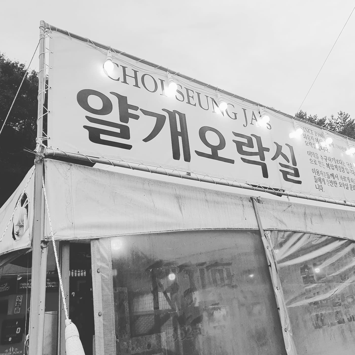 얄개