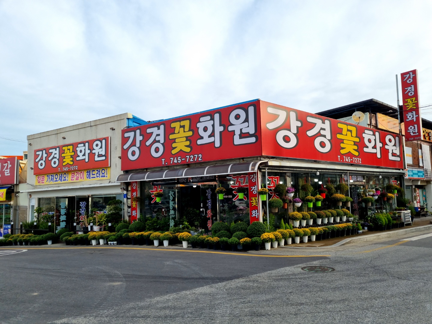 강경꽃화원