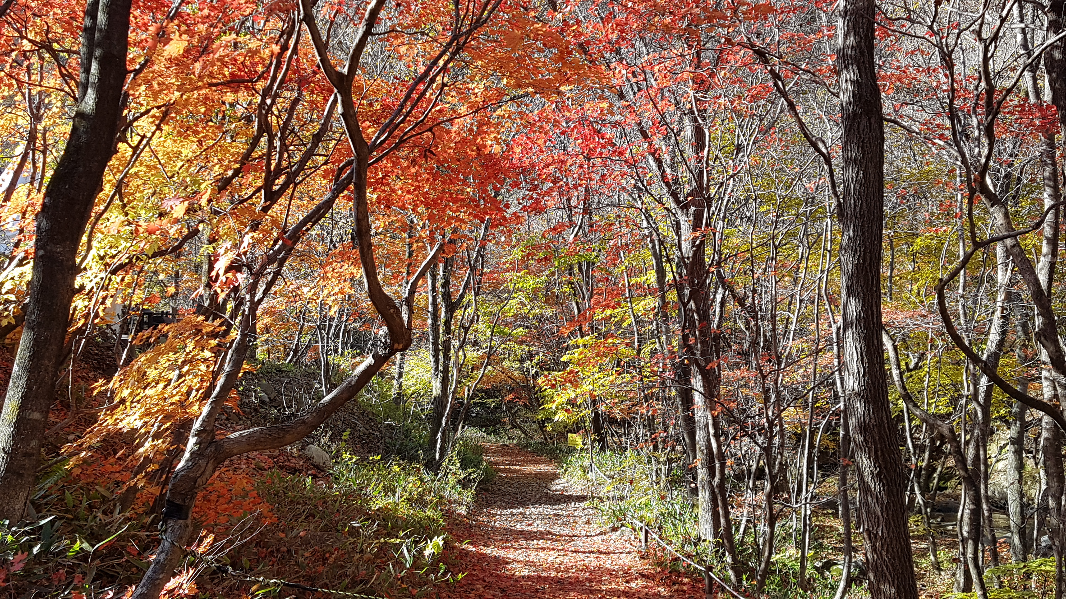 곰배령ArtHouse