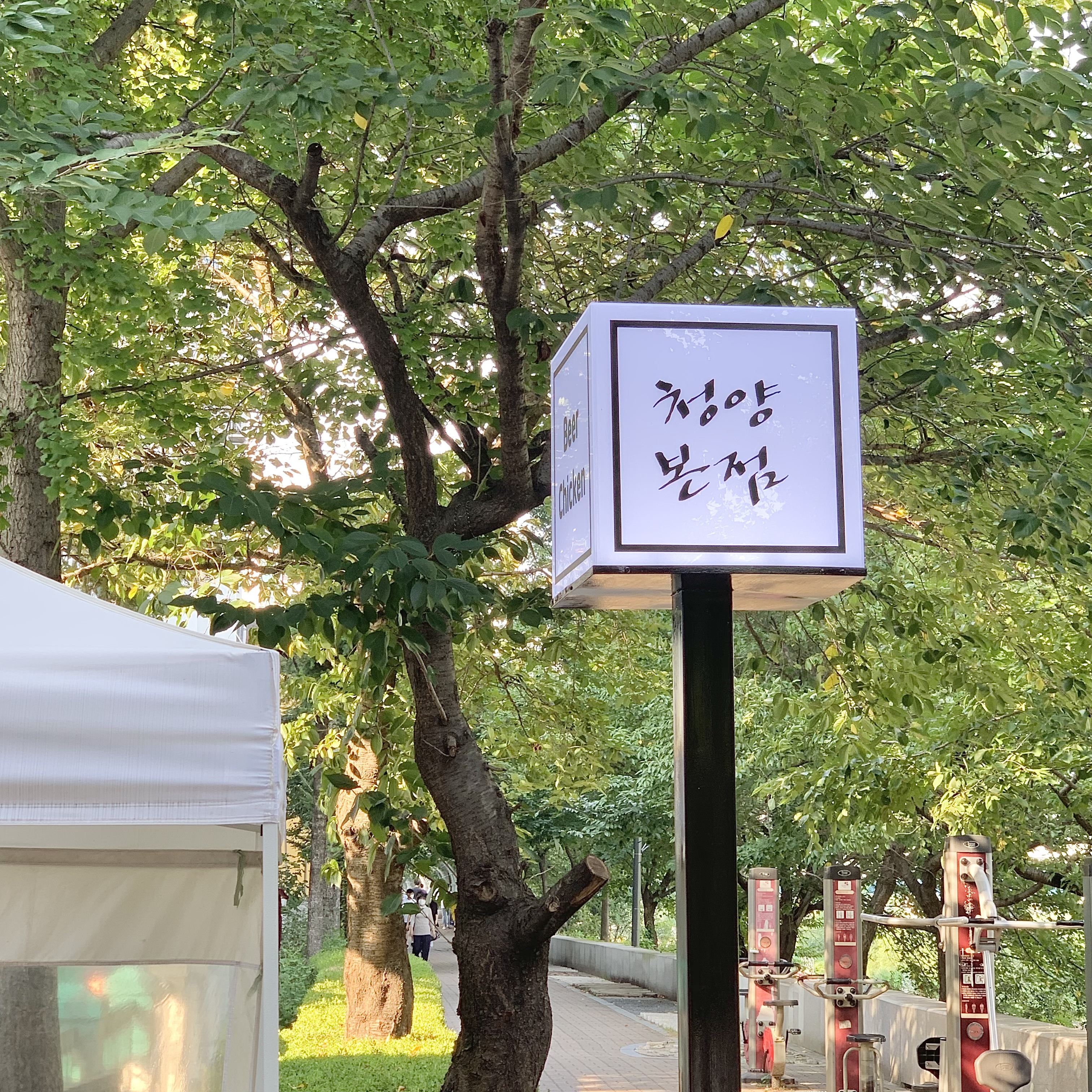 청양본점