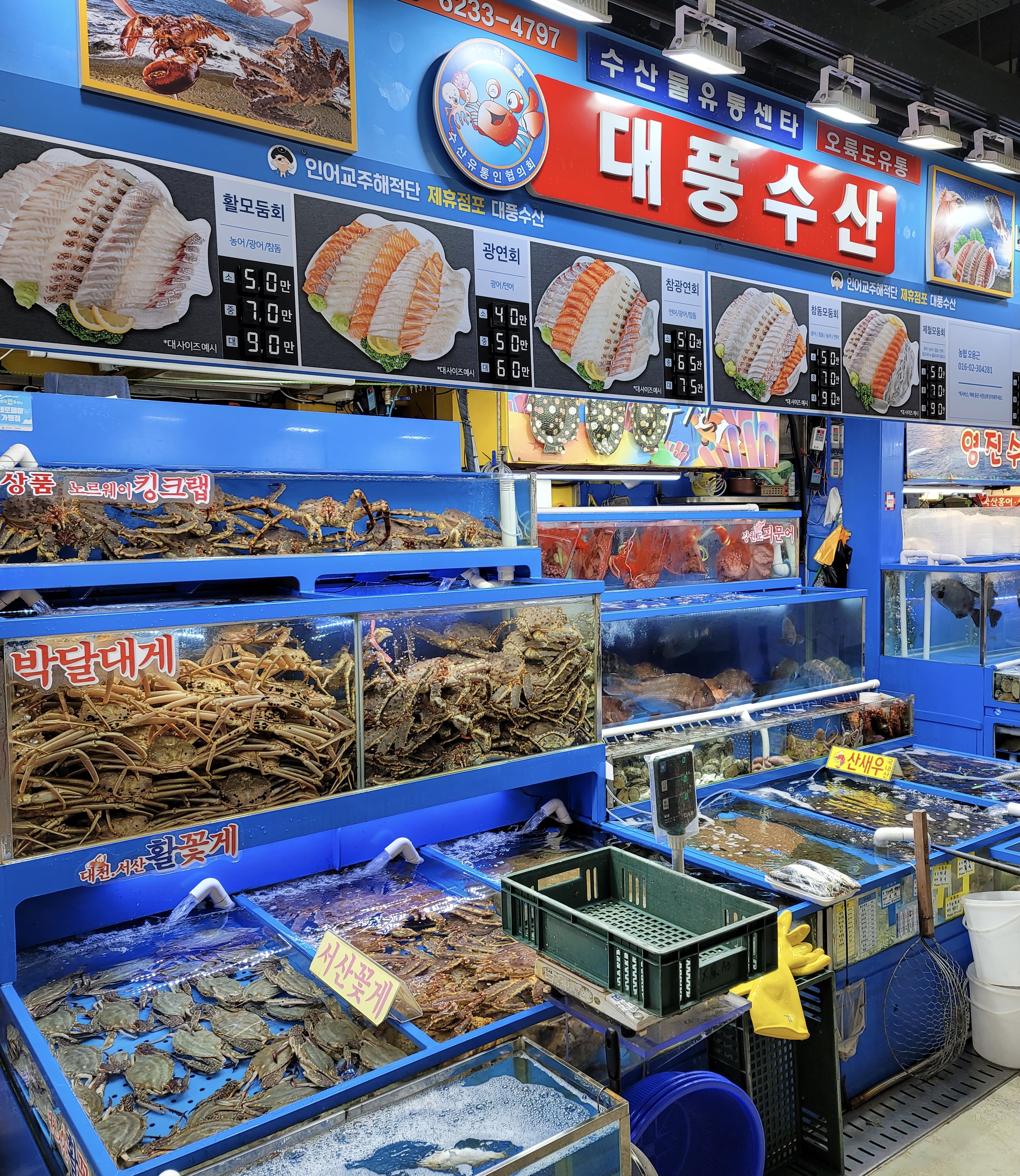 대풍수산