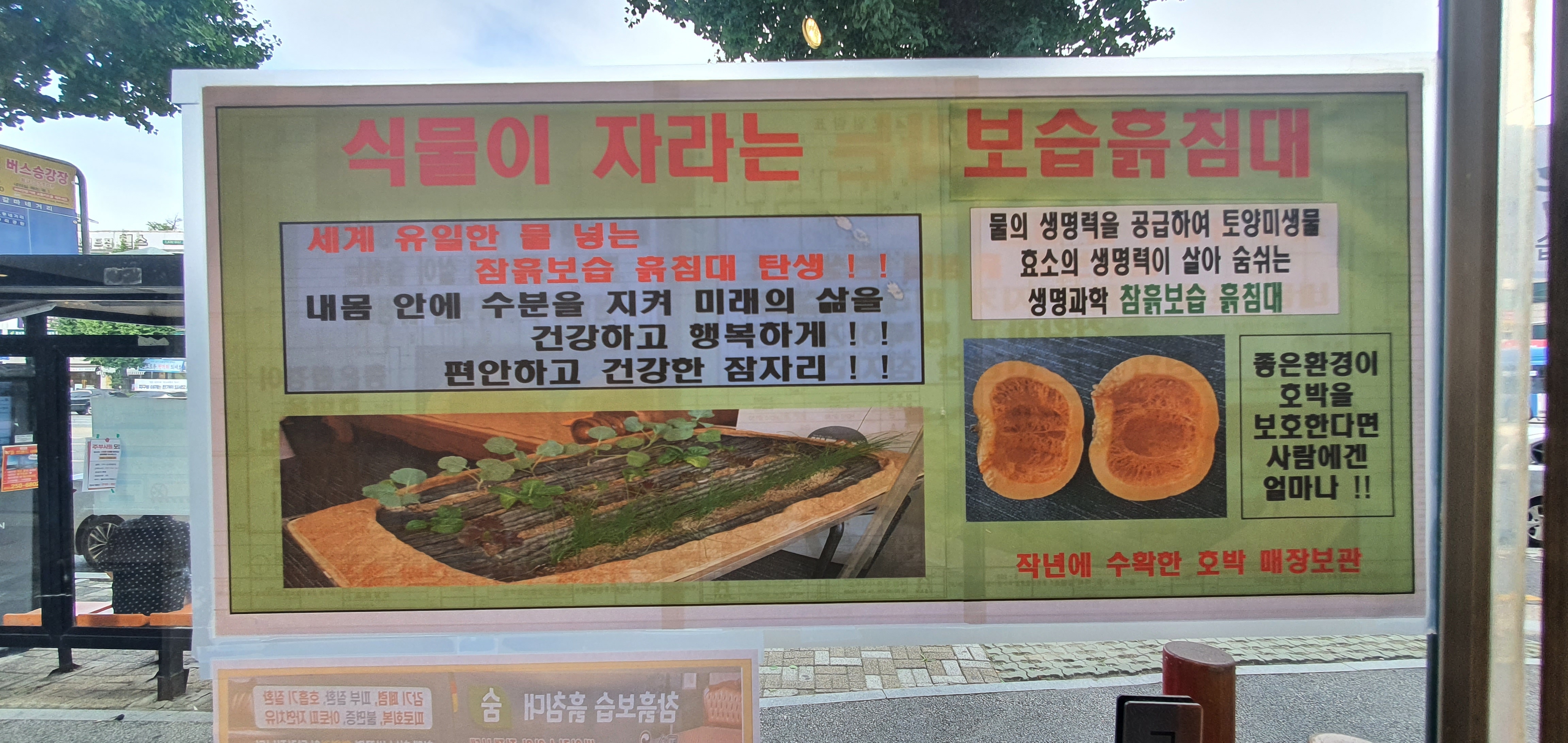 참흙보습흙침대 대전세종총판
