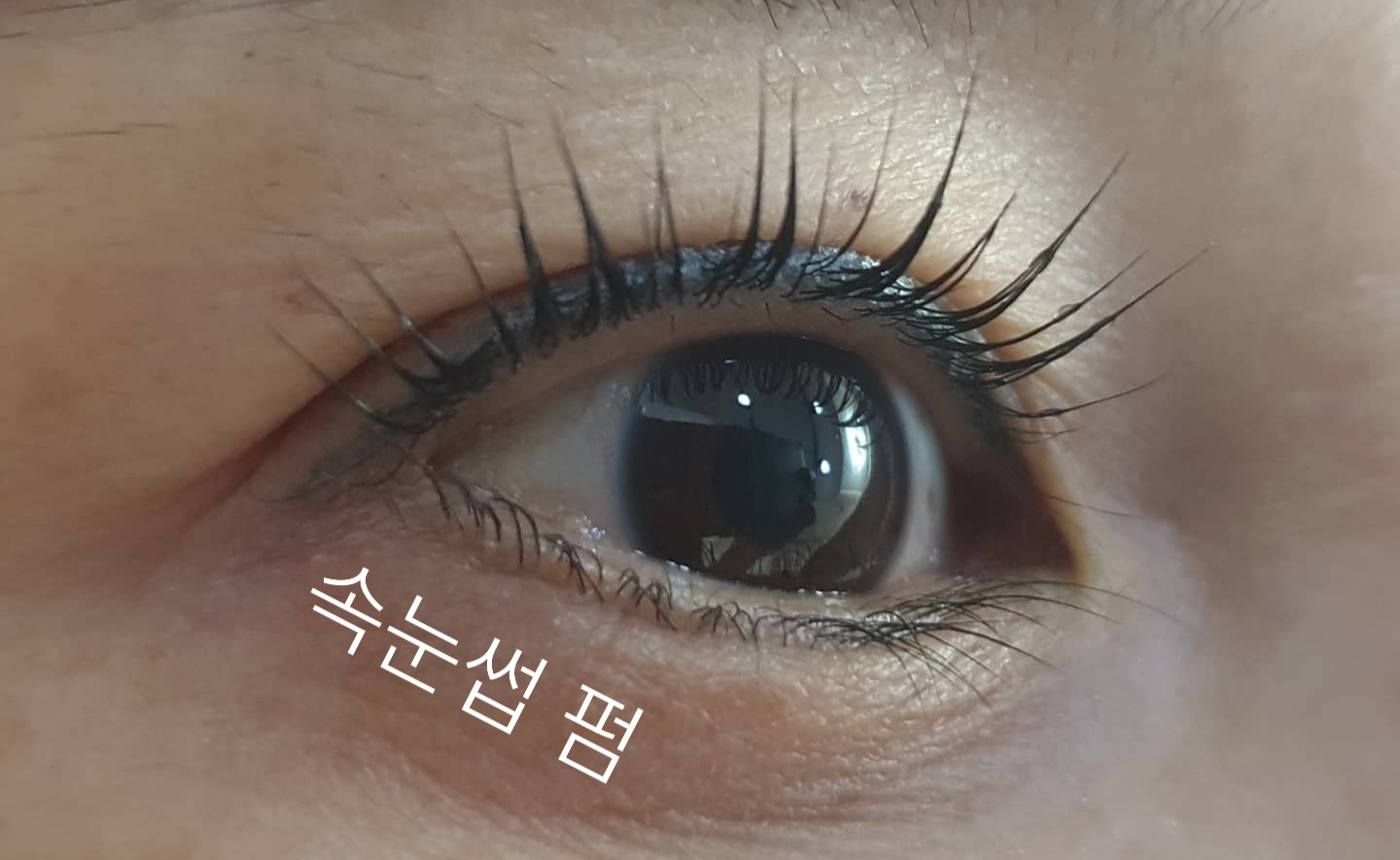 라인그리다