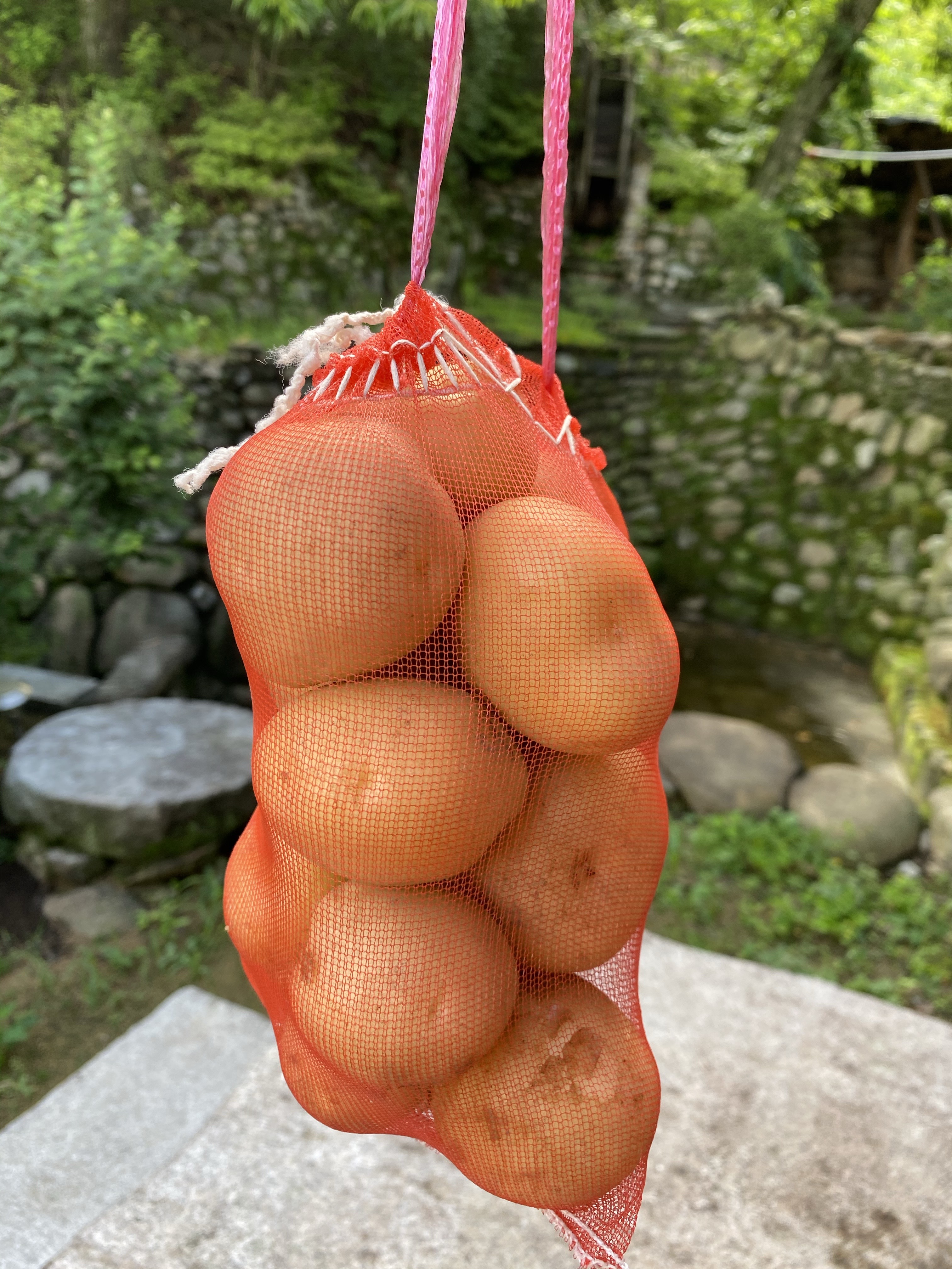 자라니 농촌교육농장