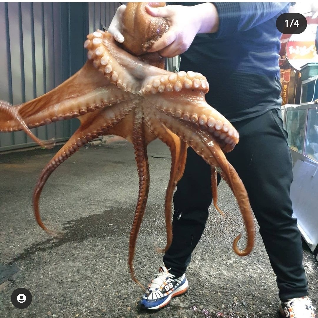 부촌회타운