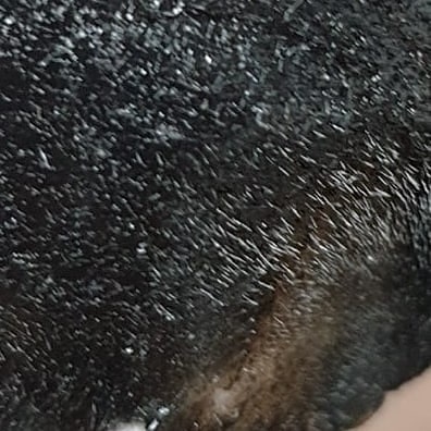 모블링토탈뷰티 김포구래역본점