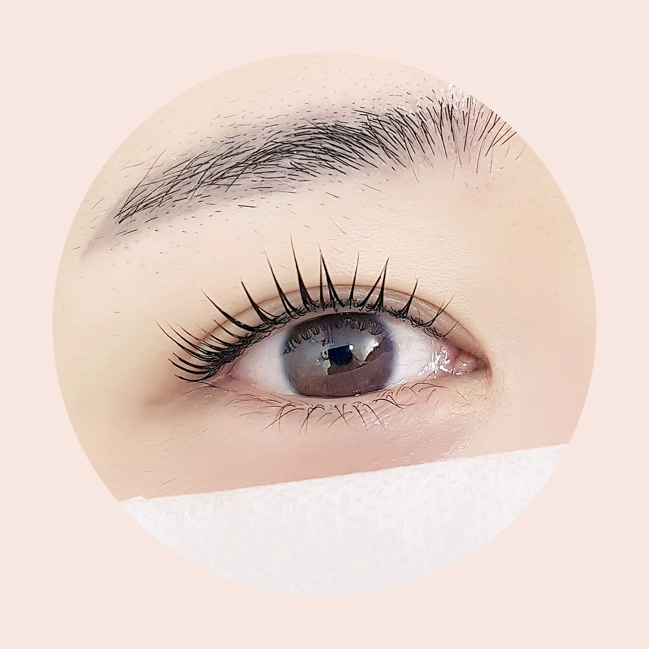 모블링헤어&아이래쉬 태전지구태전점