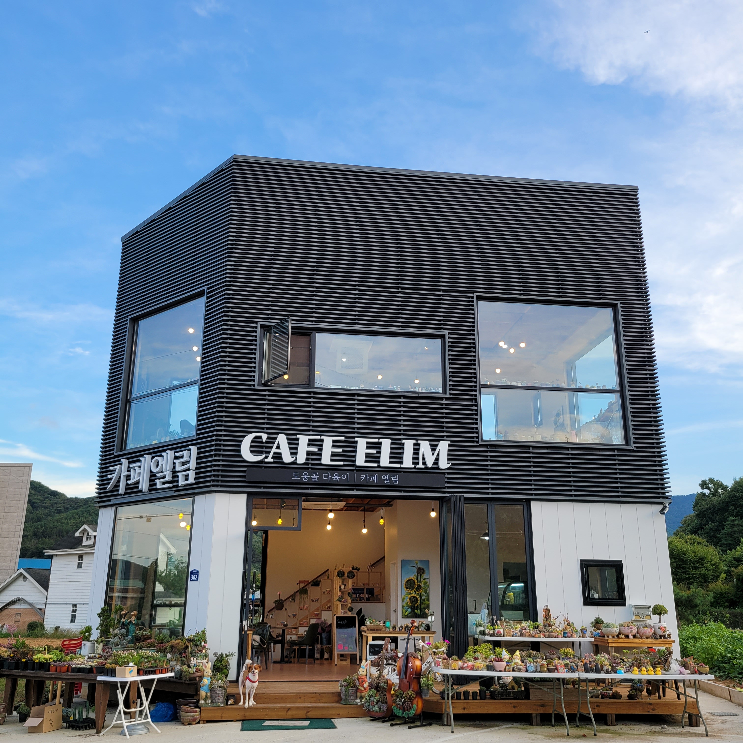 카페엘림