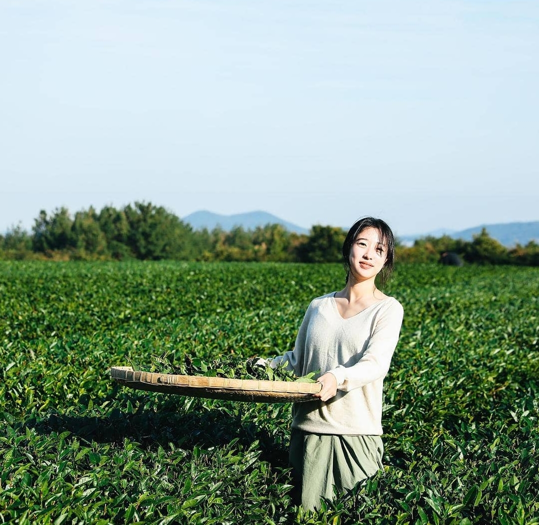 수망다원