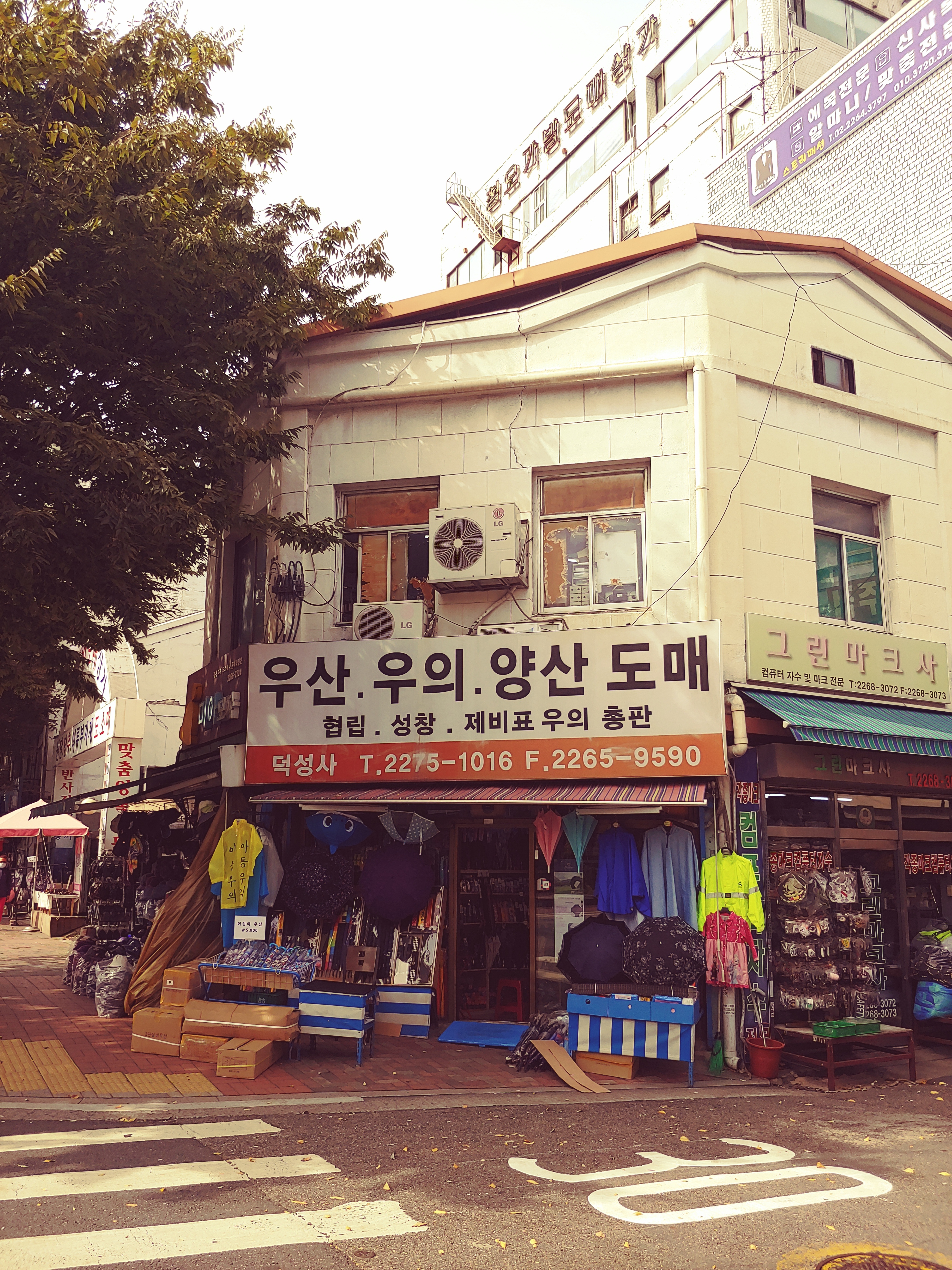 덕성우산