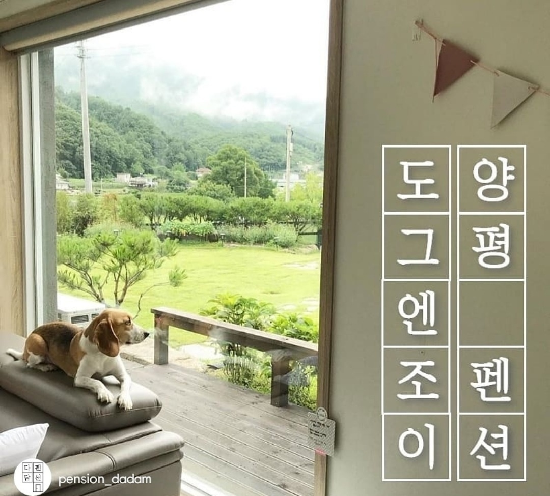 도그엔조이 3