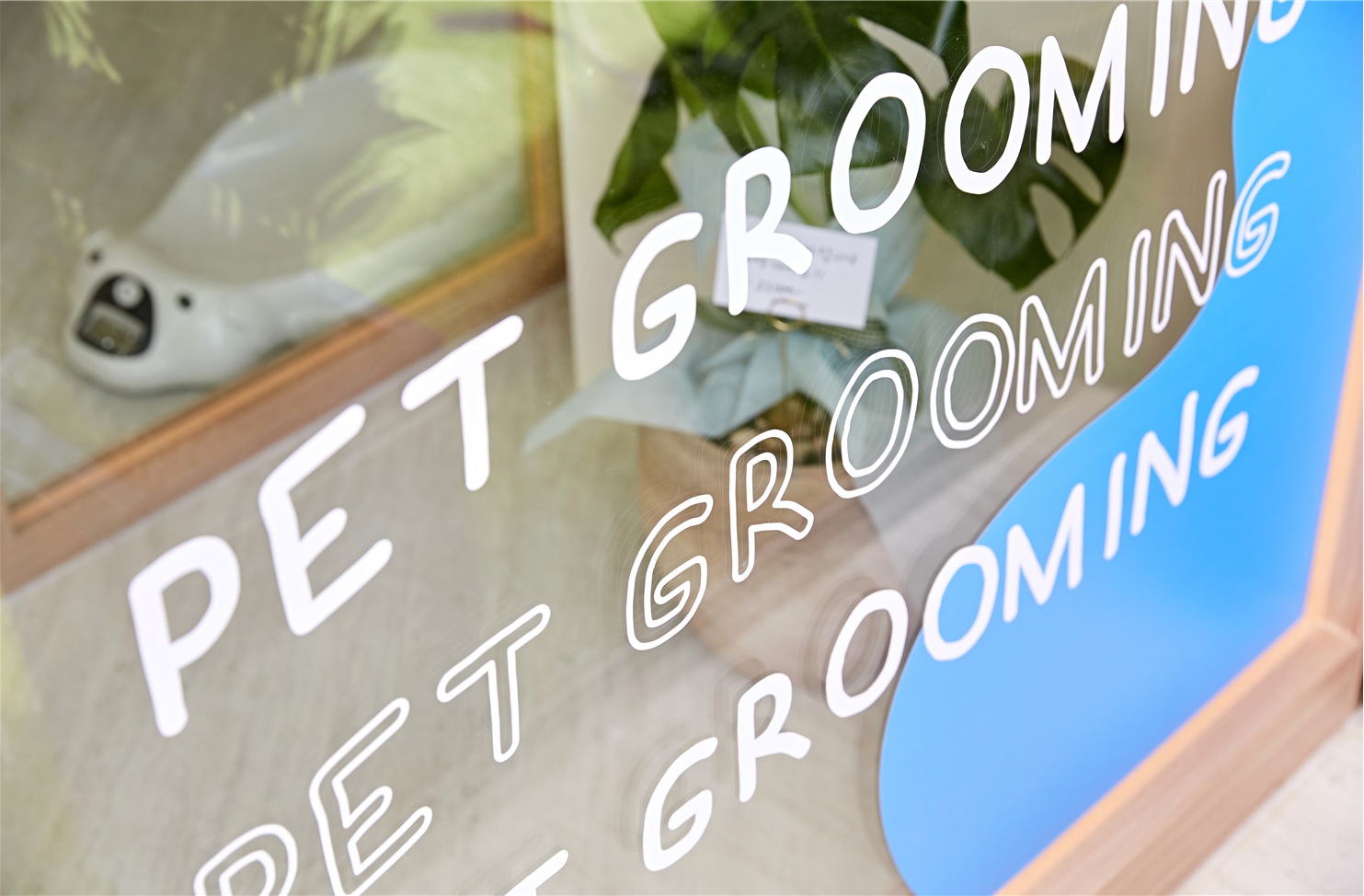 견살롱 대표 이미지