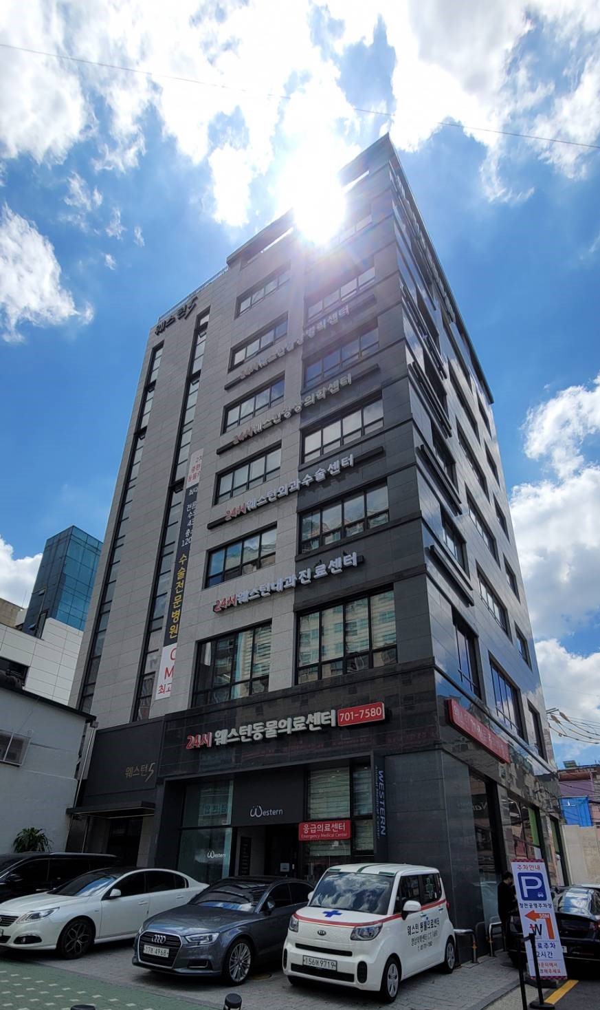웨스턴 동물의료센터 대표 이미지