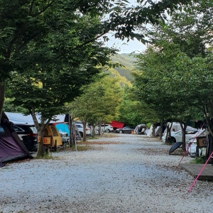 캠프더포레