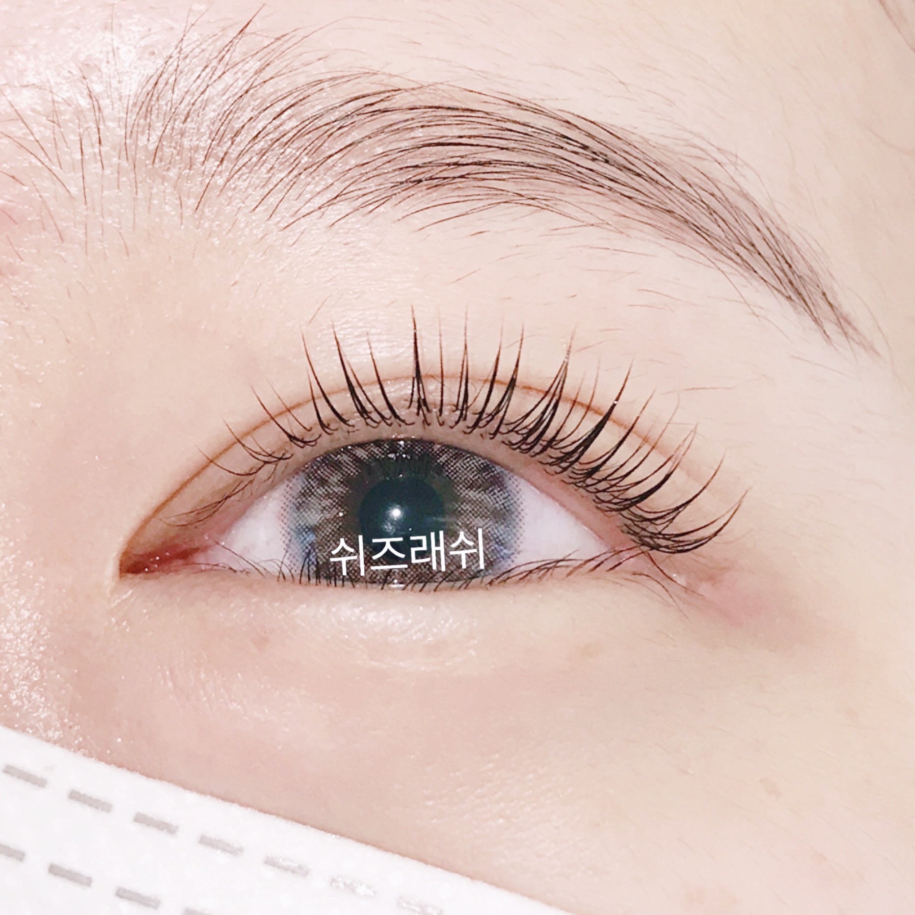 그녀의속눈썹