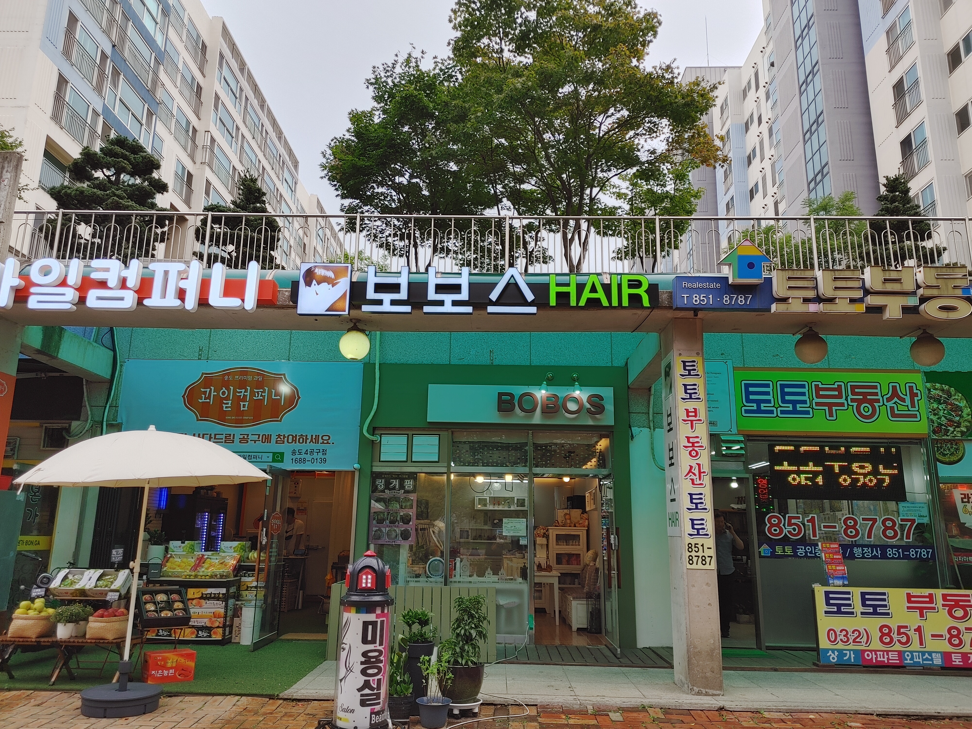 보보스헤어