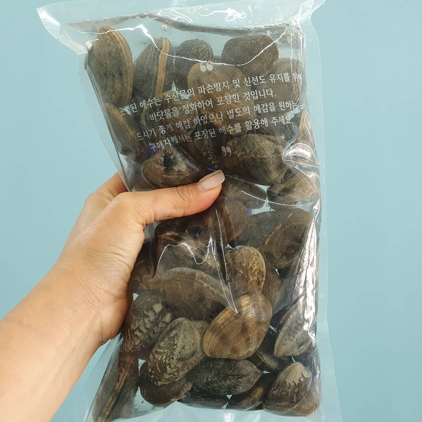 씽씽씨푸드