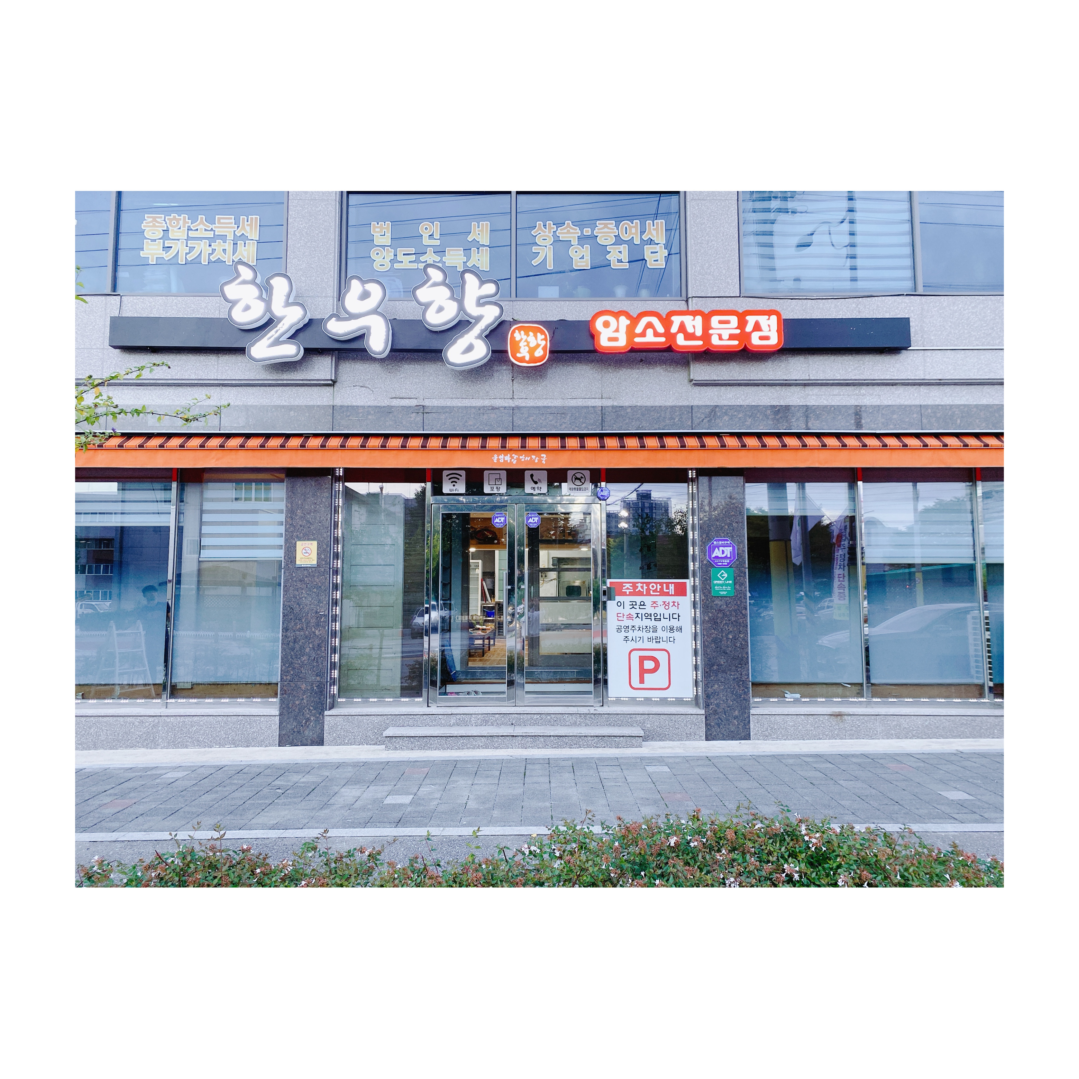 한우향