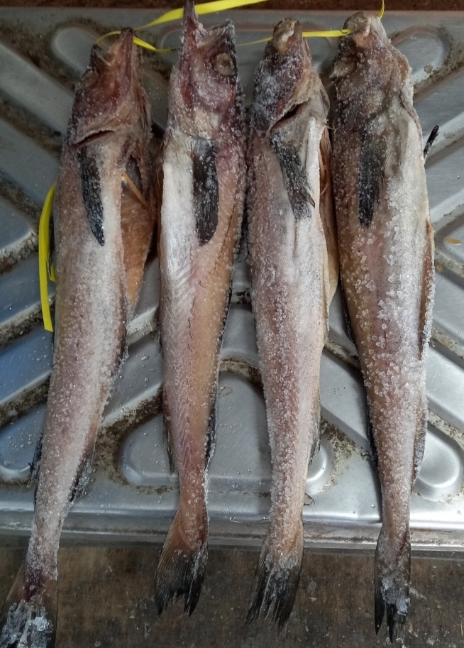 한강냉동수산