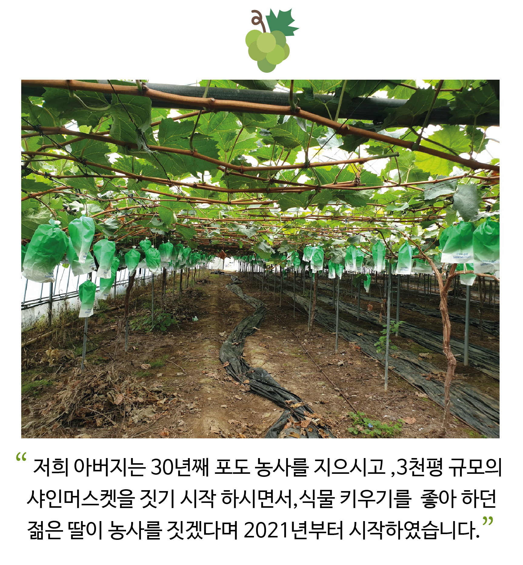 다옹이라옹이네방글농장