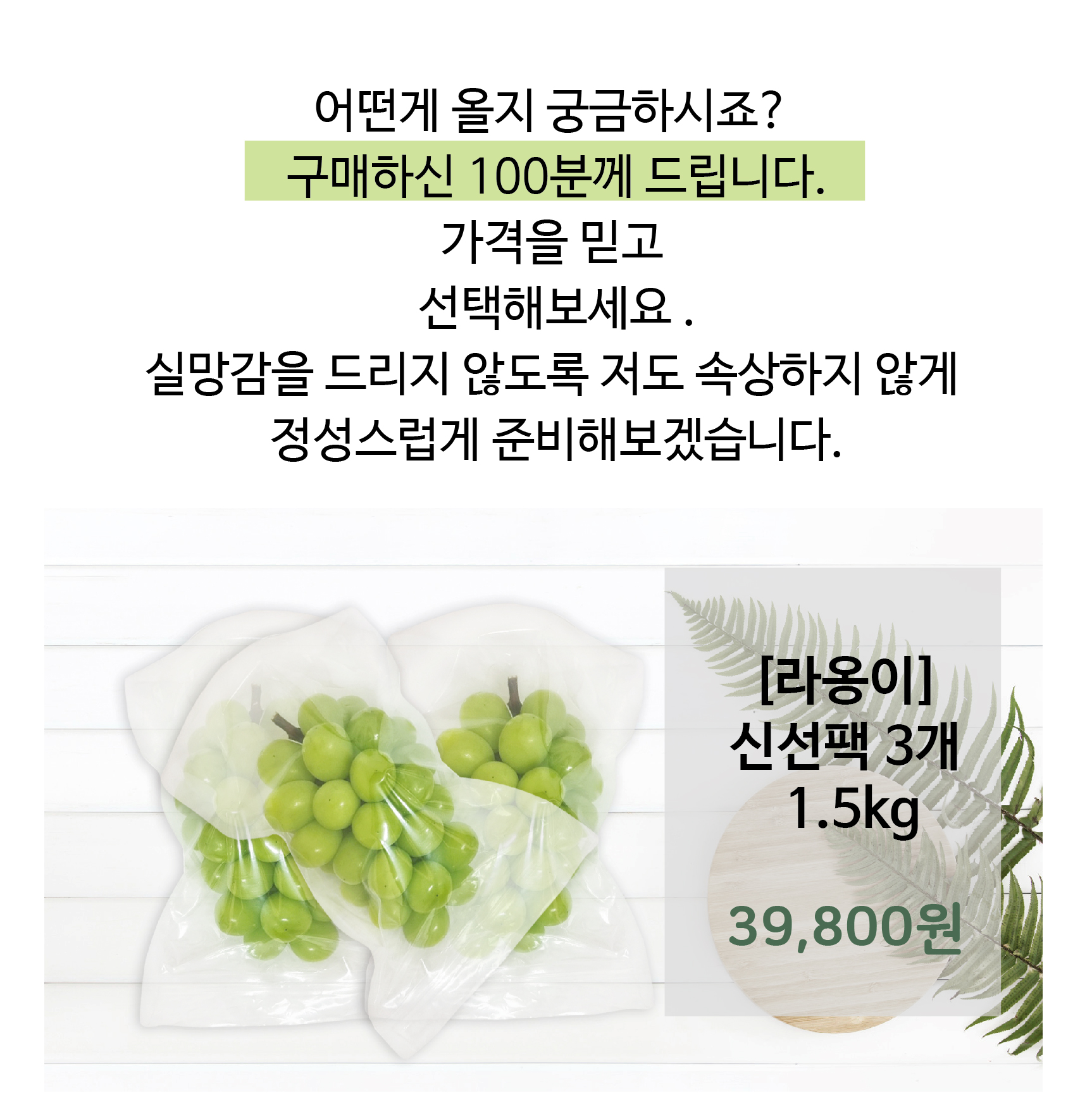 다옹이라옹이네방글농장