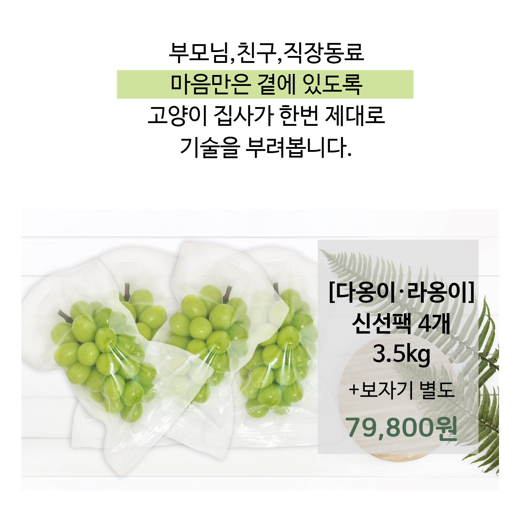 다옹이라옹이네방글농장