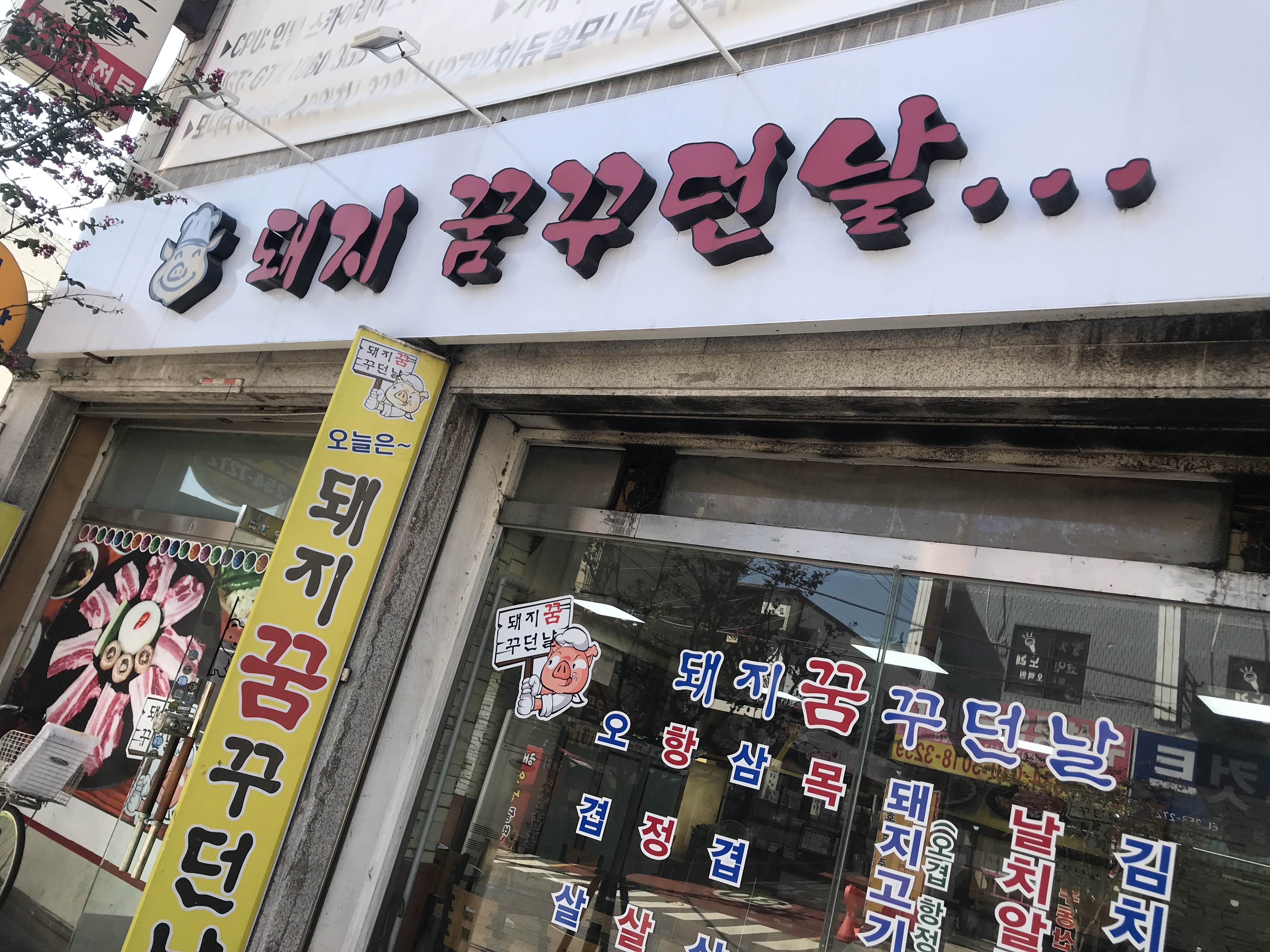 돼지꿈꾸던날