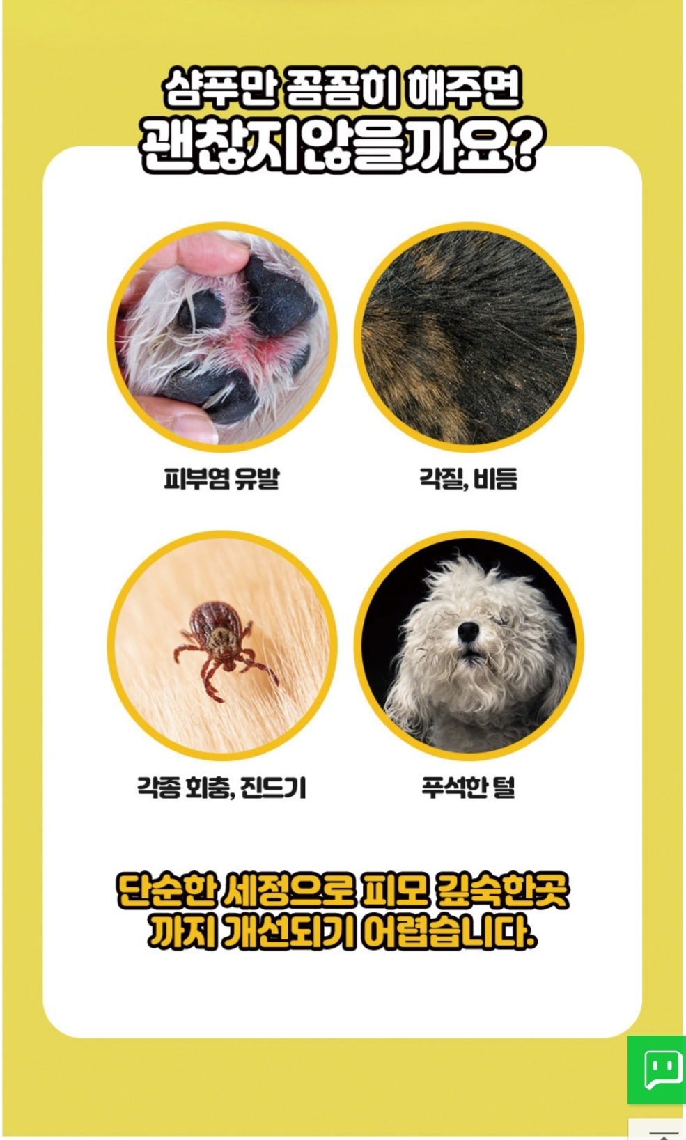 댕댕케어 대표 이미지