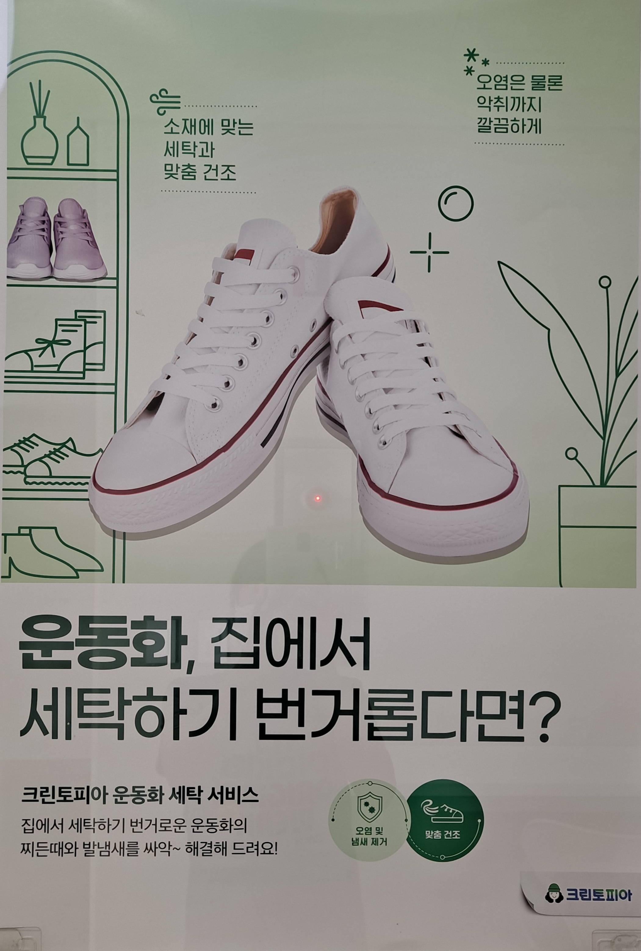 크린토피아 코인워시 부산영도에일린의뜰점